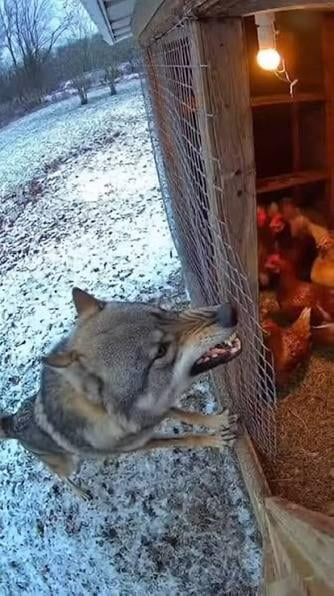 Live look at the relegation zone