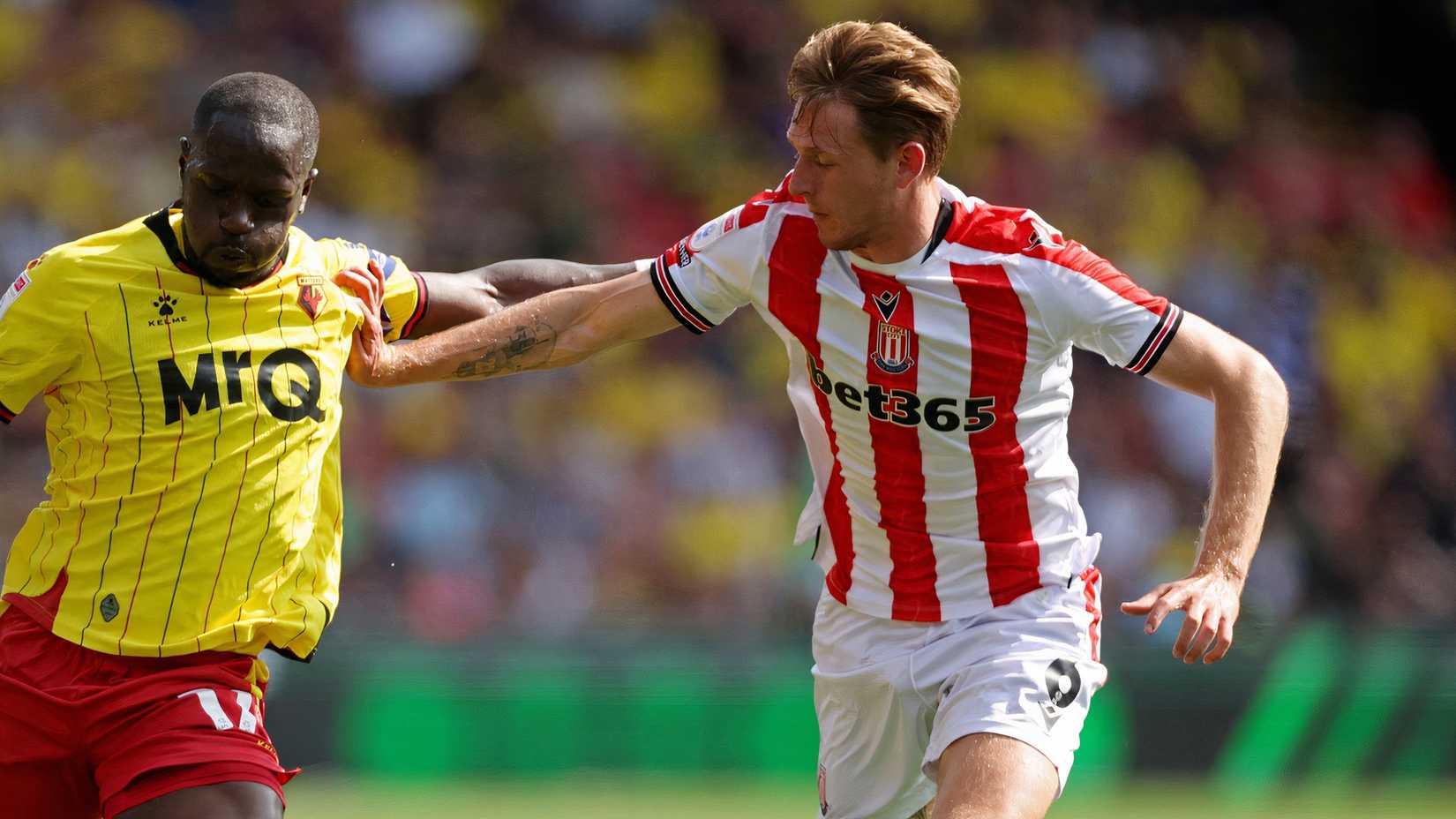Watford's Moussa Sissoko in action with Stoke City's Wouter Burger