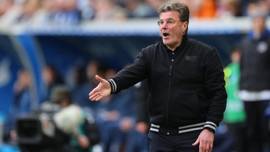 Remis in Hoffenheim: Prömel klaut Hecking den Einstand-Sieg für Wolfsburg