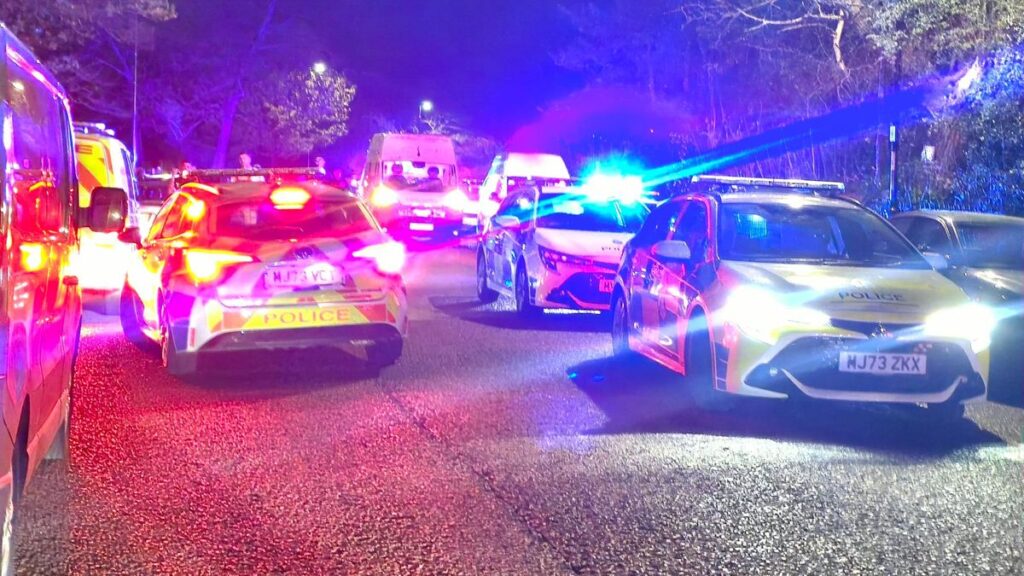 Two in hospital after 'large disturbance' at Newsham Park event