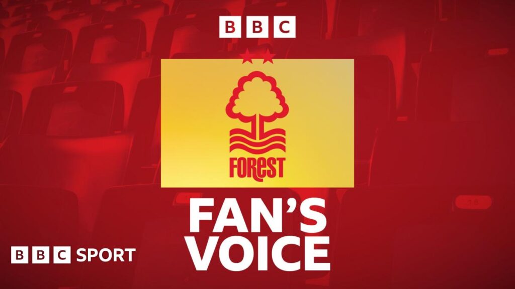 Nottingham Forest news: Opinion on Vitor Pereira's start as head coach