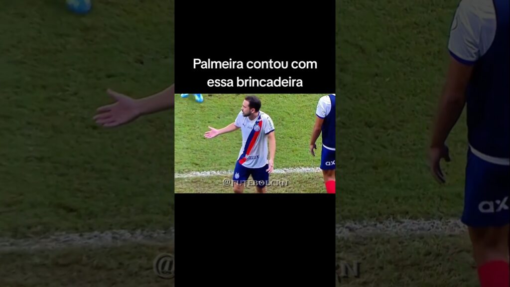 Gol da vitória do Palmeiras foi irregular mas se Everton Ribeiro toma decisão certa, o Bahia ganhava