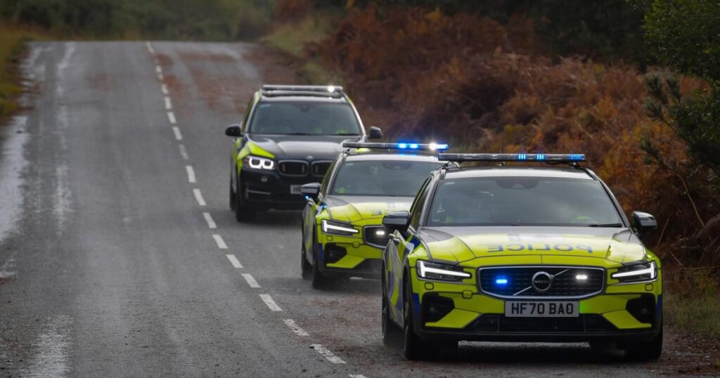 A31: Arrest after driver heads wrong way down carriageway