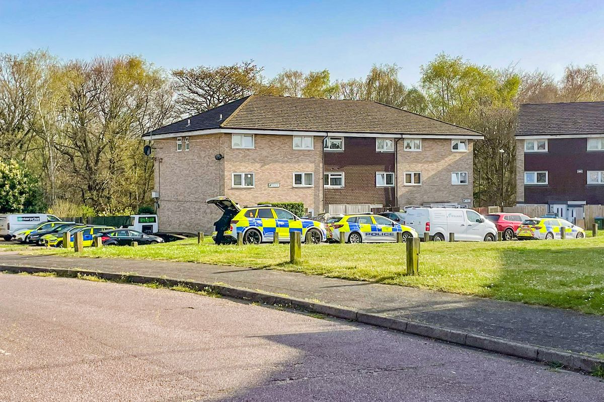 Police presence at Wadhurst Gardens, Southampton