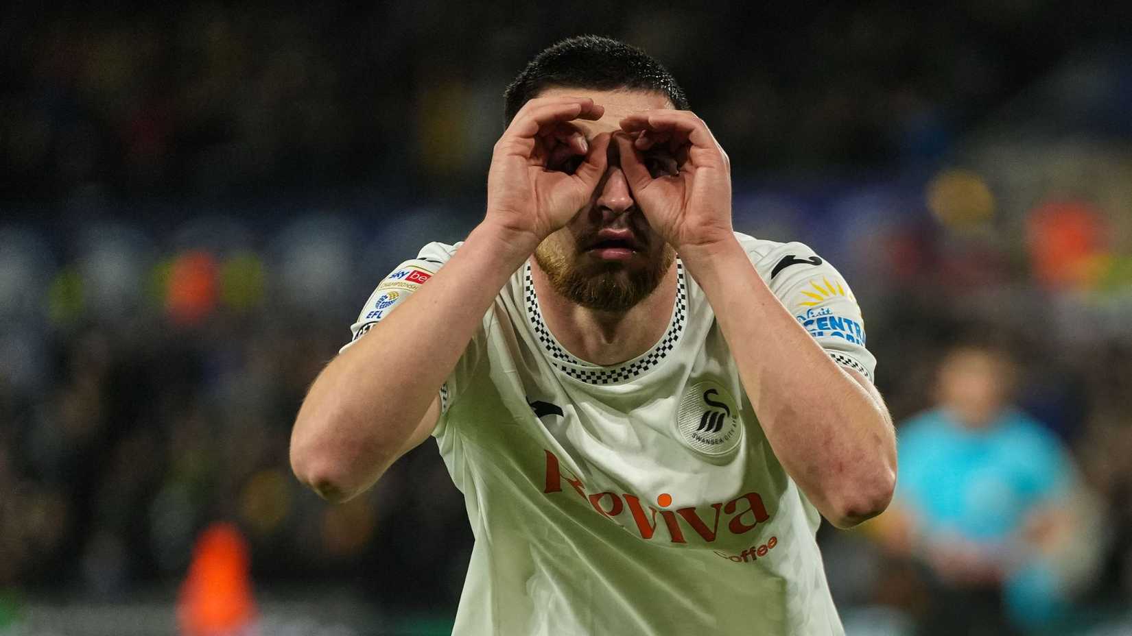 Zan Vipotnik, Swansea City