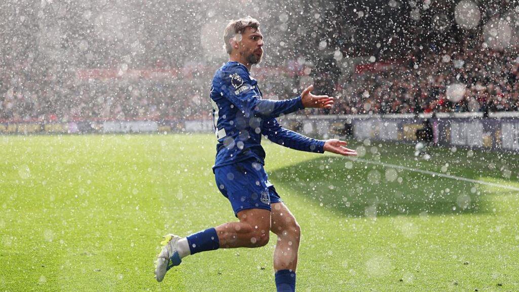 What two Brentford players did at full-time spoke volumes as Everton feeling clear