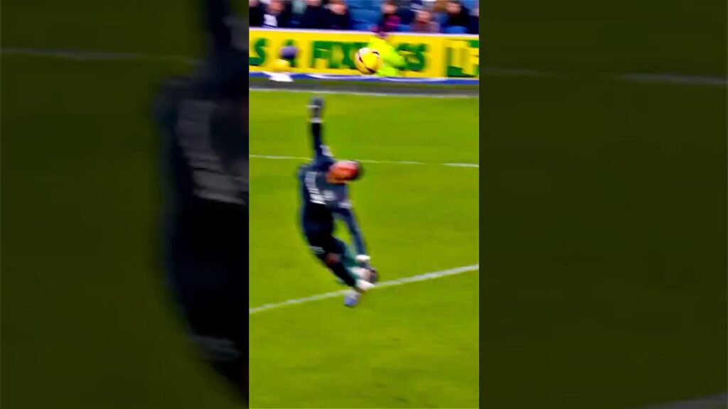 ALPHONSE AREOLA 🧤🔥