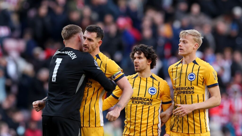 Brighton draw up contingency plan that could give Newcastle green light for major transfer