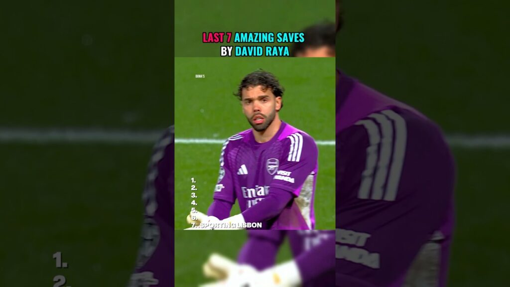 Last 7 Amazing Saves by David Raya