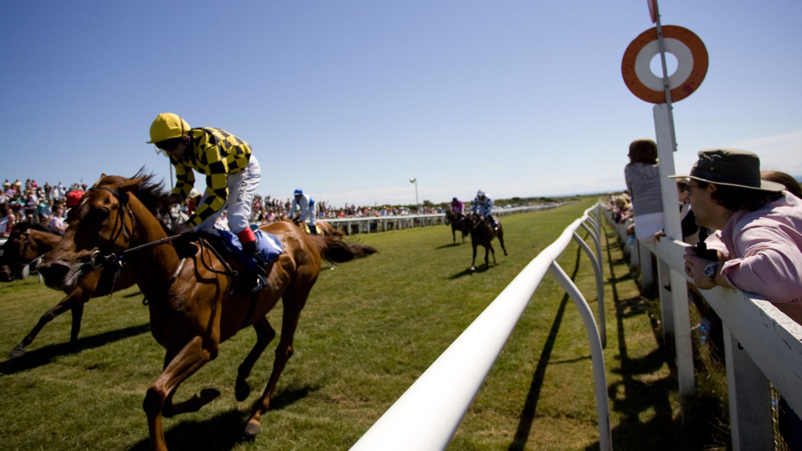 bet365 Scottish Grand National Free Bets Bet £10 Get £30: bet365 Ayr Betting Offers 2026