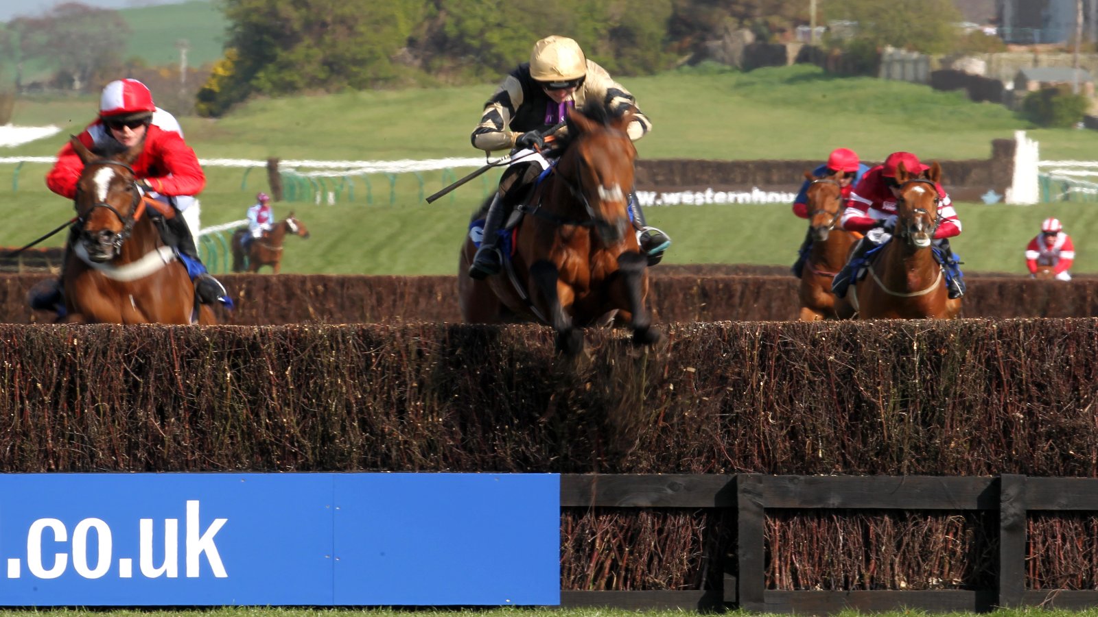 William Hill Scottish Grand National Free Bets & Betting Offers: Get £30 In Bonuses