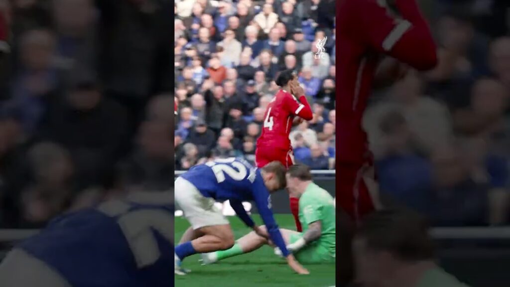Van Dijk's goal and the celebrations that followed 😱🤩