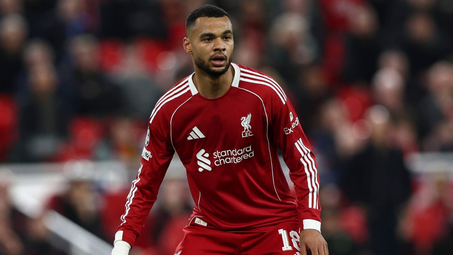 Liverpool make major moves to replace Cody Gakpo