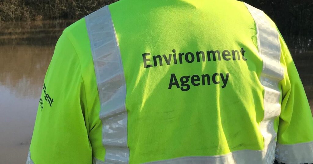 E.coli detected in Danes Stream in Milford-on-Sea