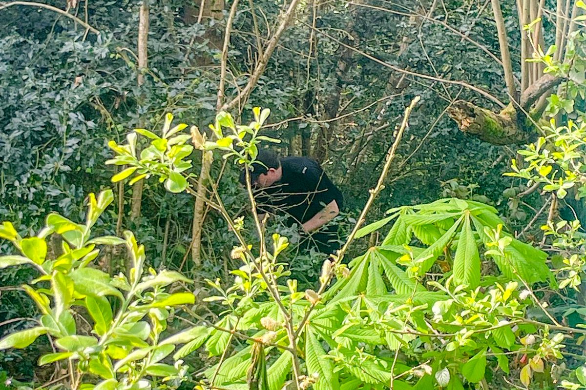 Police presence at Wadhurst Gardens, Southampton