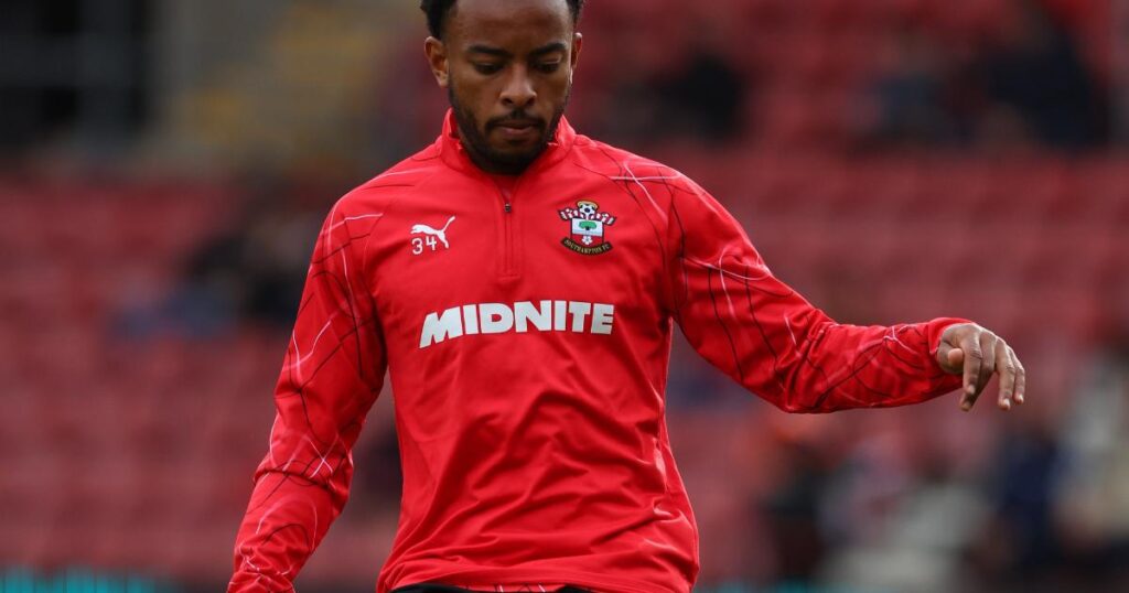 Brazilian clubs reportedly interested in signing Southampton defender