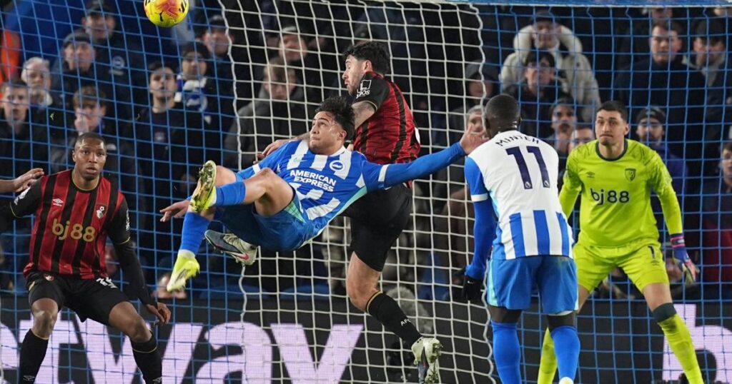 How have Brighton's summer signings performed this season?