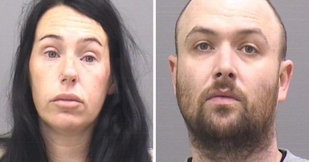 Couple ran postal drug operation from Wimborne home