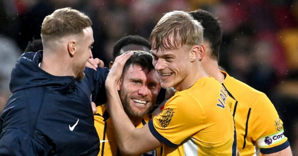 Why Brighton's Jan Paul van Hecke has been tipped as future skipper