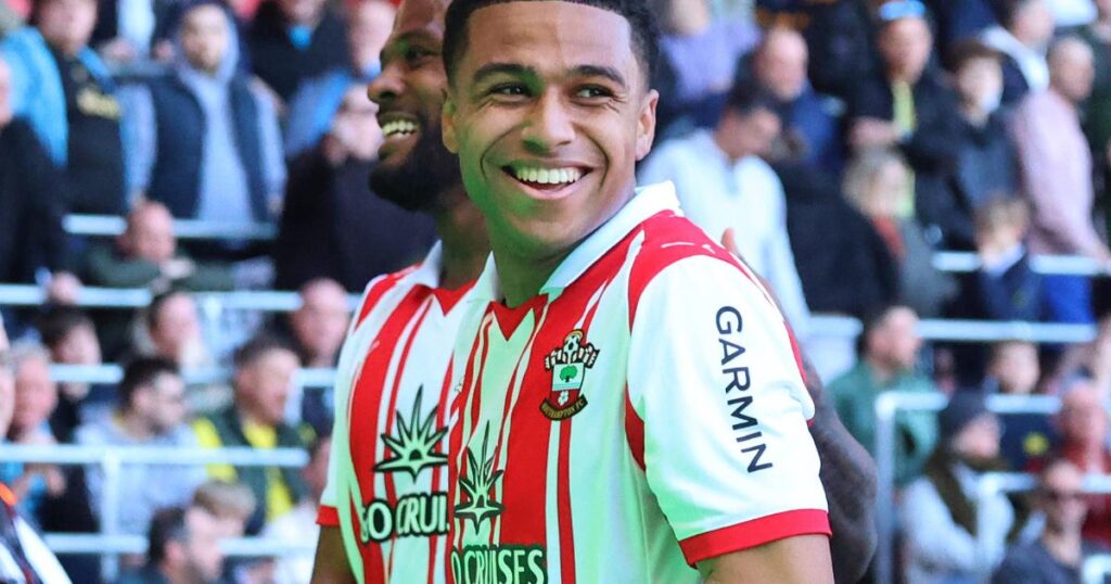 Southampton midfielder nominated for Championship Goal of the Month