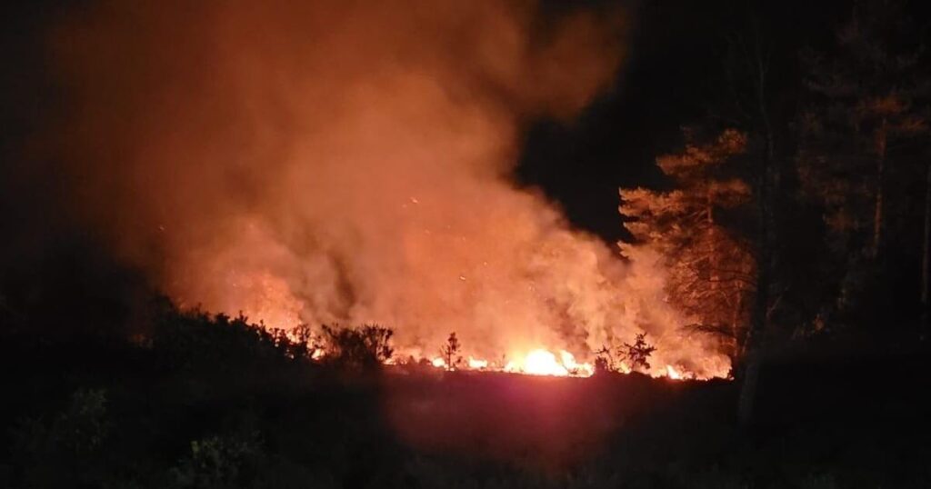 Heath wildfires in Wareham and Sandford under investigation Heath wildfires in Wareham and Sandford under investigation