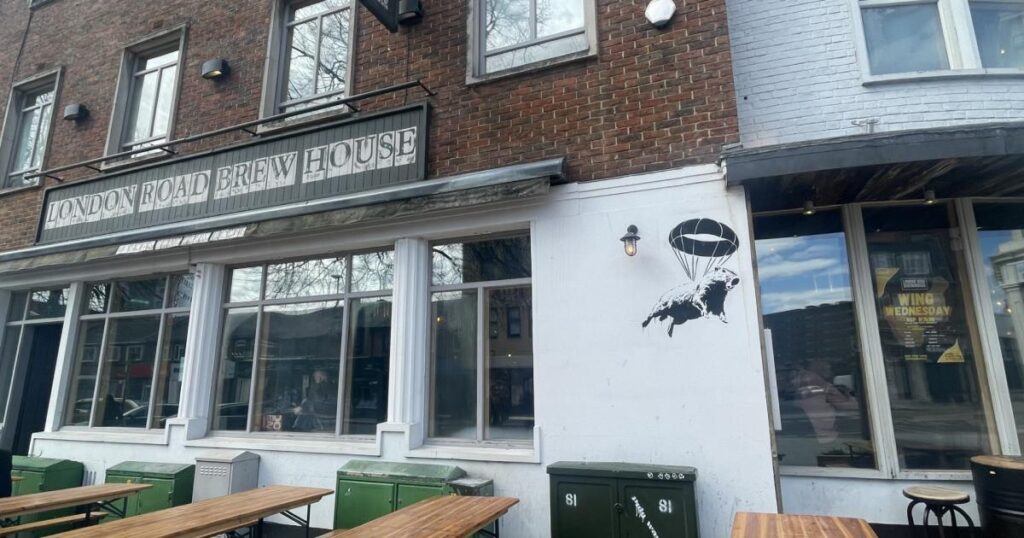 Mysterious capybara mural appears on Southampton pub