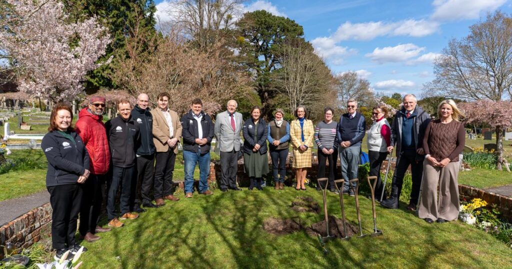 Sycamore Gap sapling planted at Lyndhurst in New Forest
