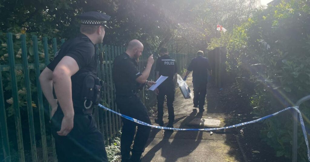 Boy, 11, injured after two children fire gun found in woods