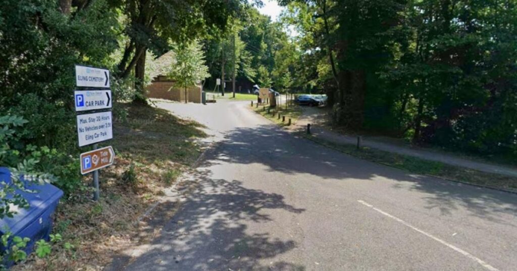 'Two people bitten' by dogs 'from New Forest traveller camp'