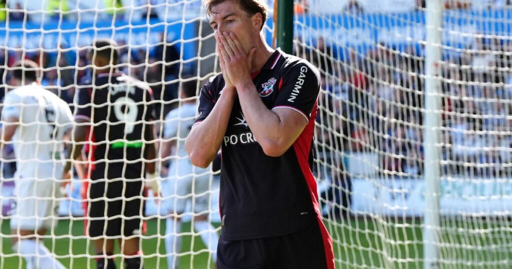 Southampton snubbed from Championship Team of the Season