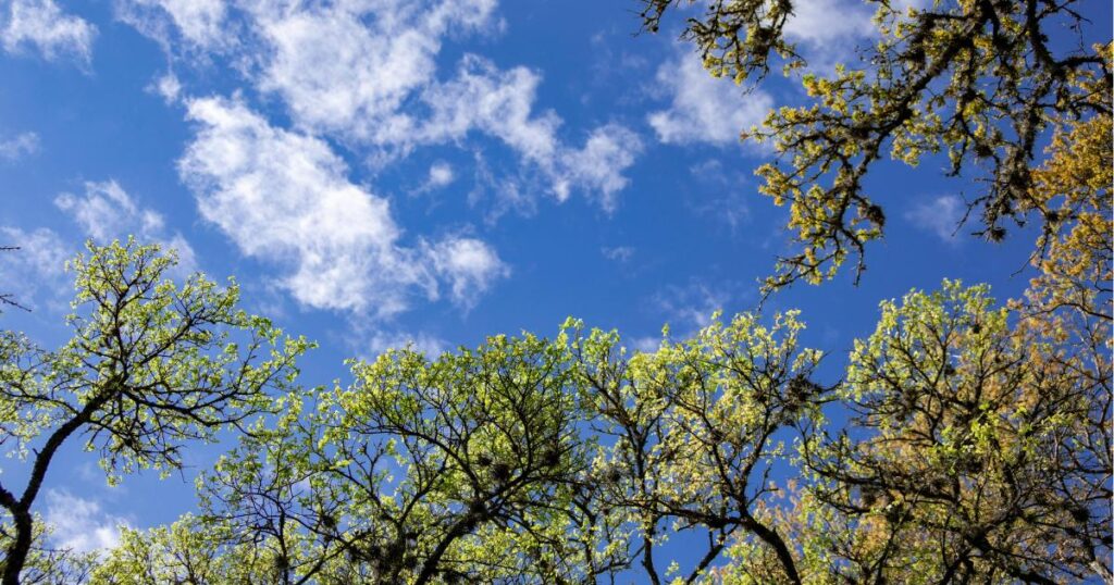 Weather across Bournemouth, Christchurch and Poole