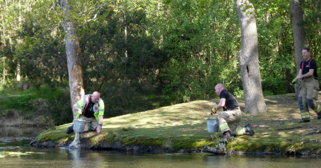 Bucket wielding firefighters tackle Southampton Common blaze