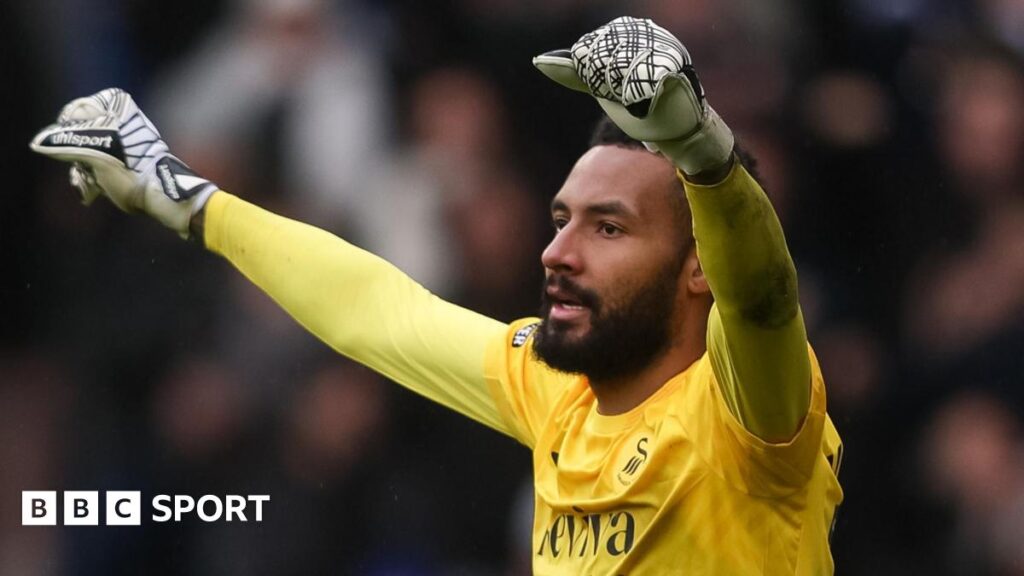 Swansea City news: Goalkeeper Lawrence Vigouroux demands strong finish for future success