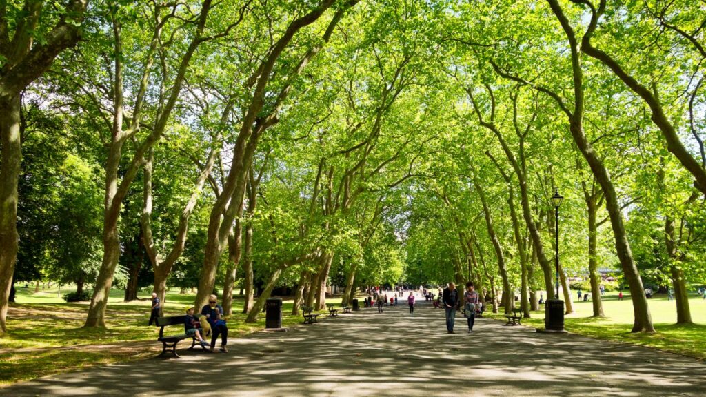 Why we all want to move to Crystal Palace (and the house we're buying when we get there)