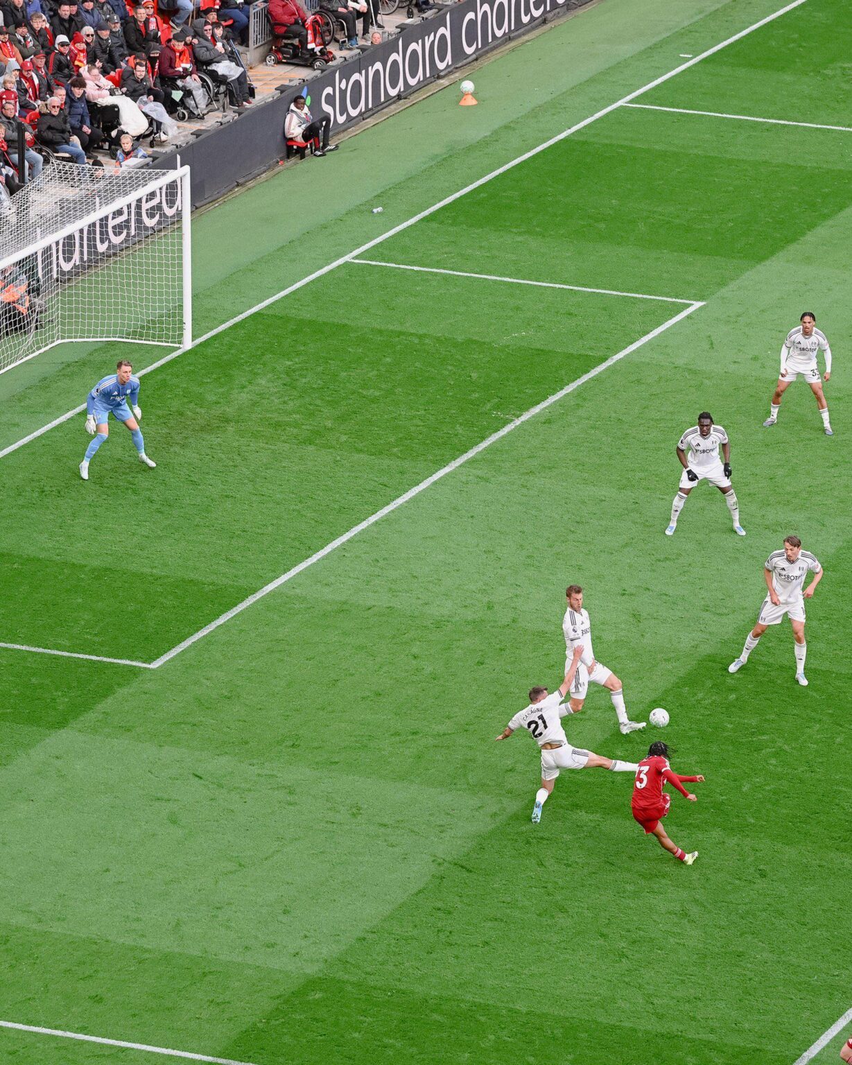 We've got a new star in our hands 💫