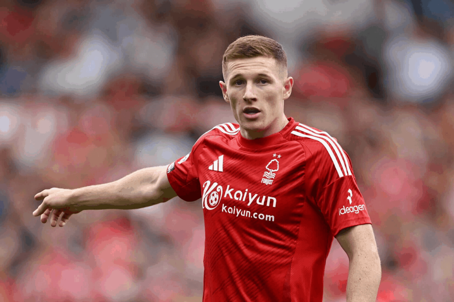 We really can't have anything nice can we