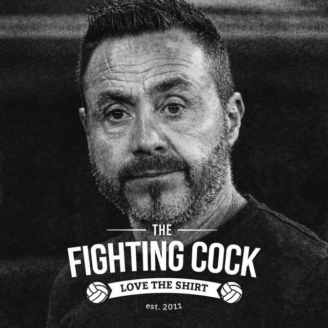 S15E71 | A Single Training Session | The Fighting Cock Podcast
