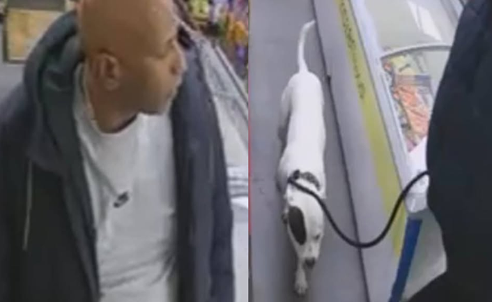 New date for Brighton and Hove Albion v Chelsea match