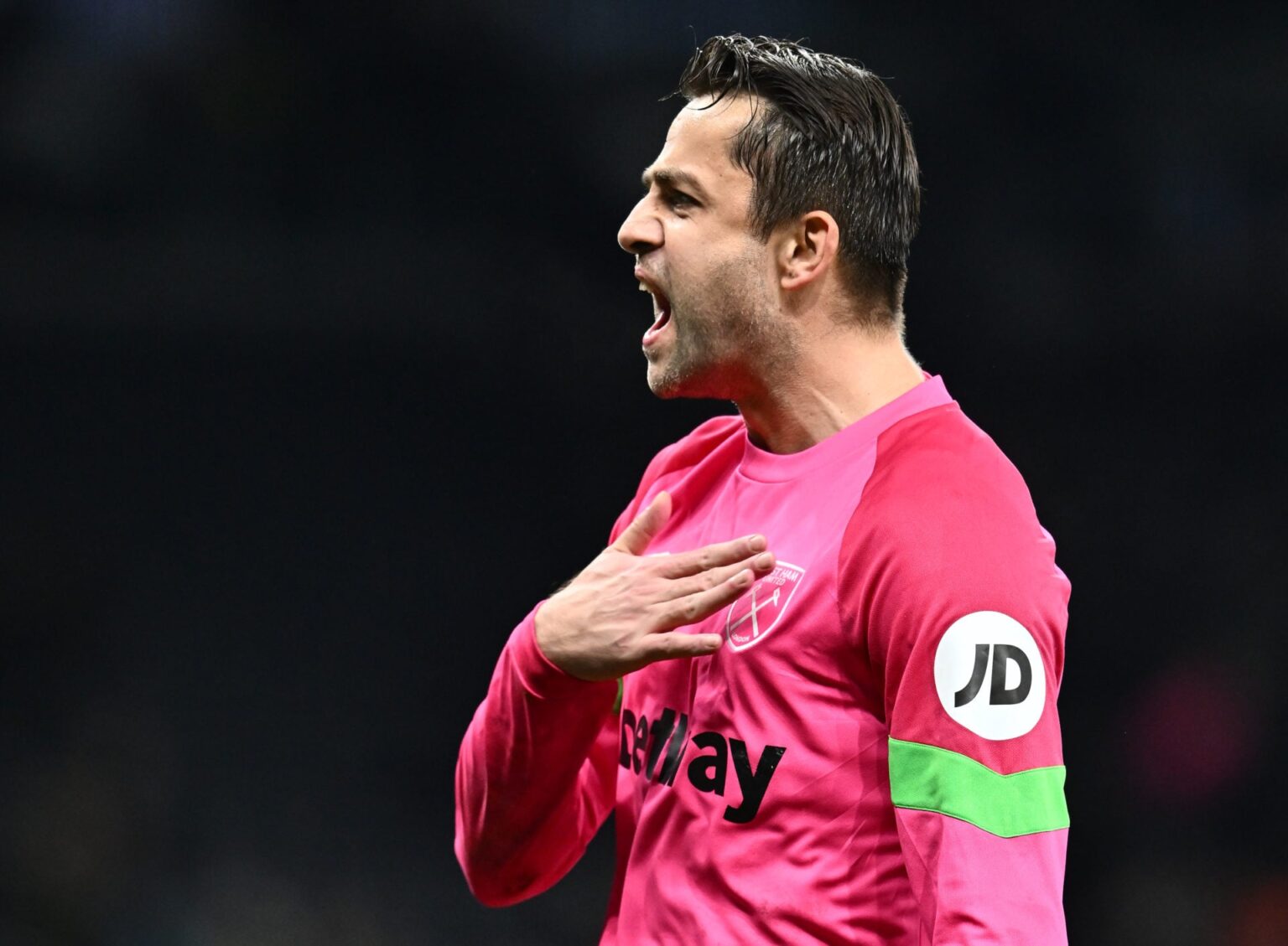 Lukasz Fabianski reveals the job he 'would love' after West Ham retirement