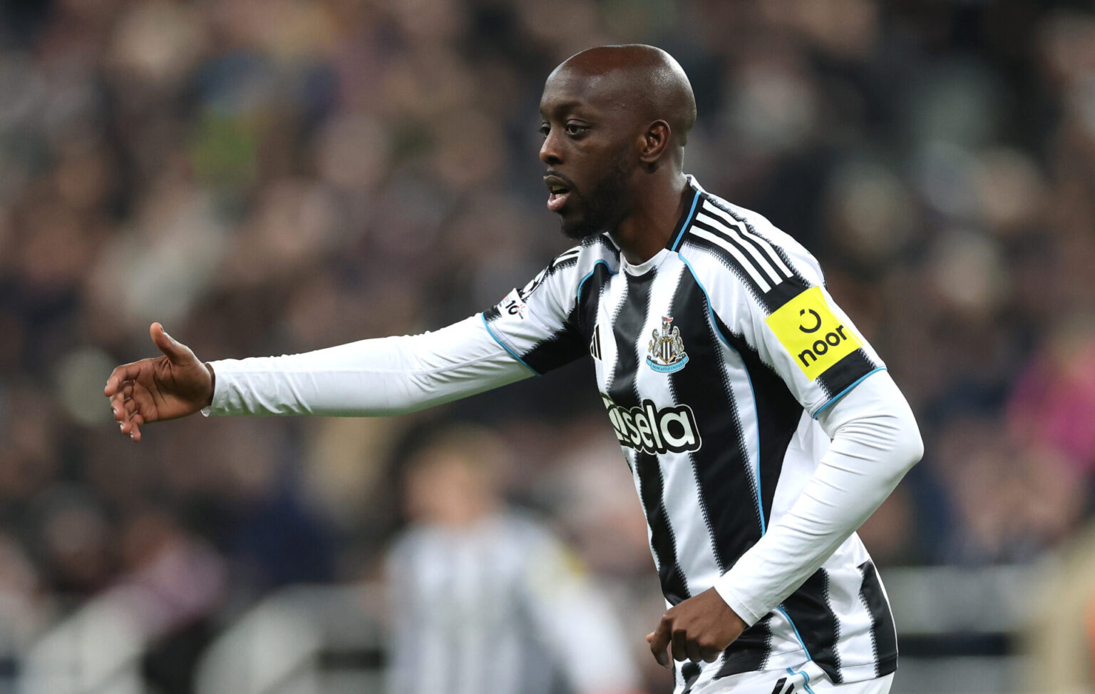 Update on Yoane Wissa's future at Newcastle United after move backfires in miserable fashion