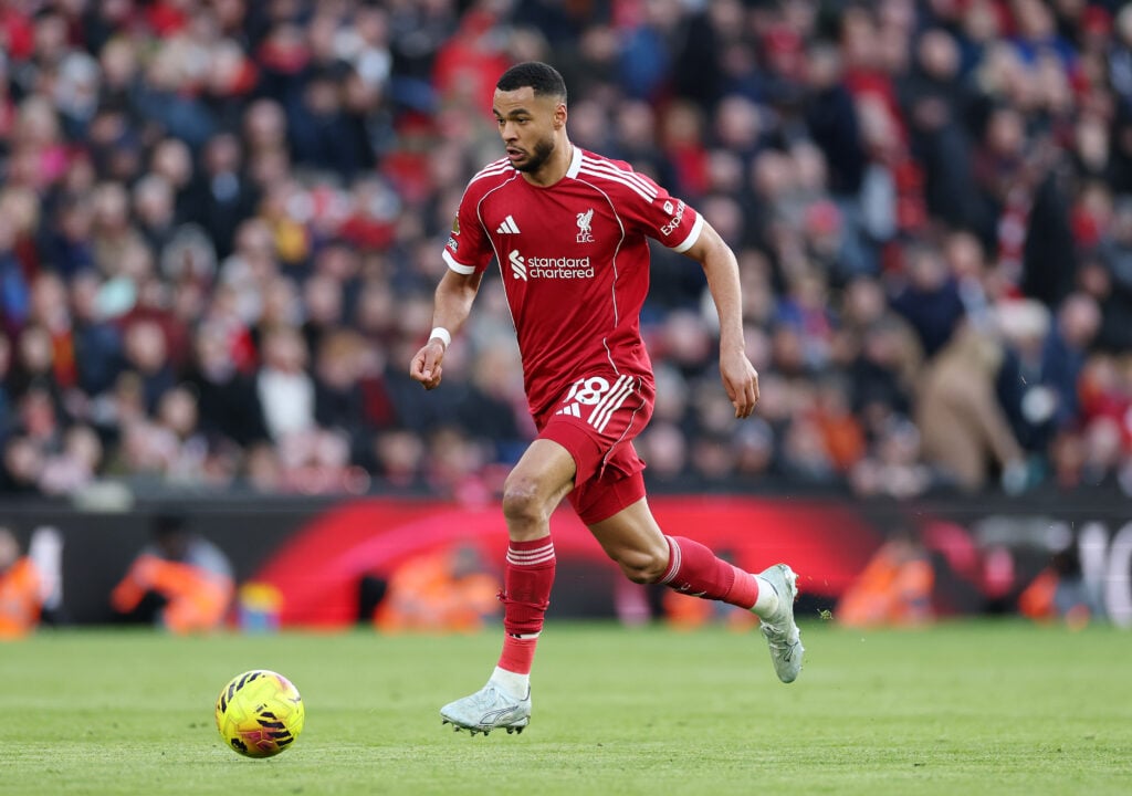 Cody Gakpo during Liverpool vs West Ham