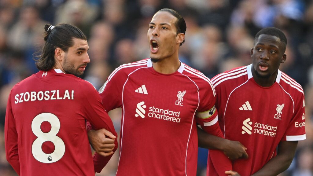 Virgil van Dijk urges Liverpool players to give 'absolutely everything' to secure Champions League football & tells fans 'everyone is hurting' amid poor form