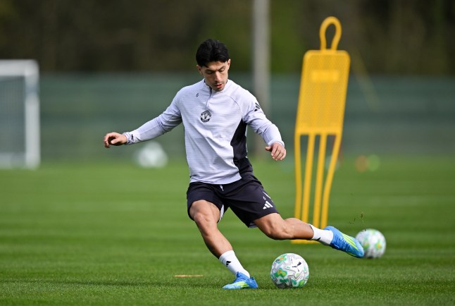 Manchester United Squad Training in Ireland