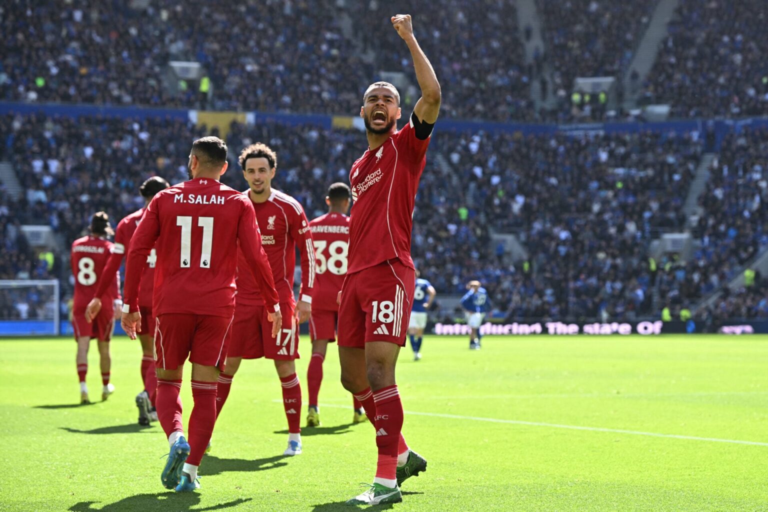 Cody Gakpo looked like a different player against Everton and Arne Slot should take note