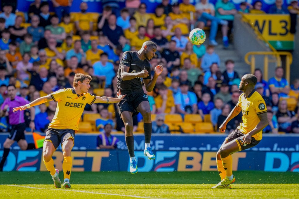 Wolverhampton Wanderers v Tottenham Hotspur - Premier League