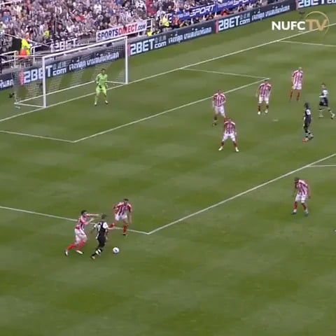 ON THIS DAY 2012: Newcastle United 3 - 0 Stoke City - Magnificent Magpies smash Potters at St James' Park