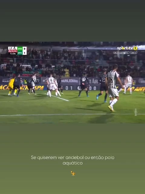 Mais um jogo dos lagartos levados ao colo