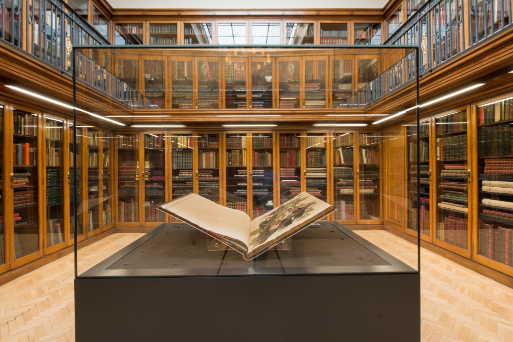 Central Library to host special Birds of America event