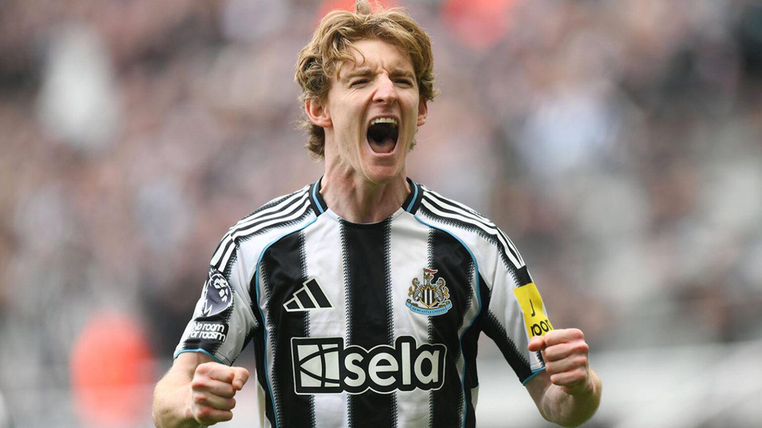 Bayern will Anthony Gordon von Newcastle United als Luis Díaz Herausforderer. Die Spielerseite ist bereits informiert und erste Gespräche fanden statt.