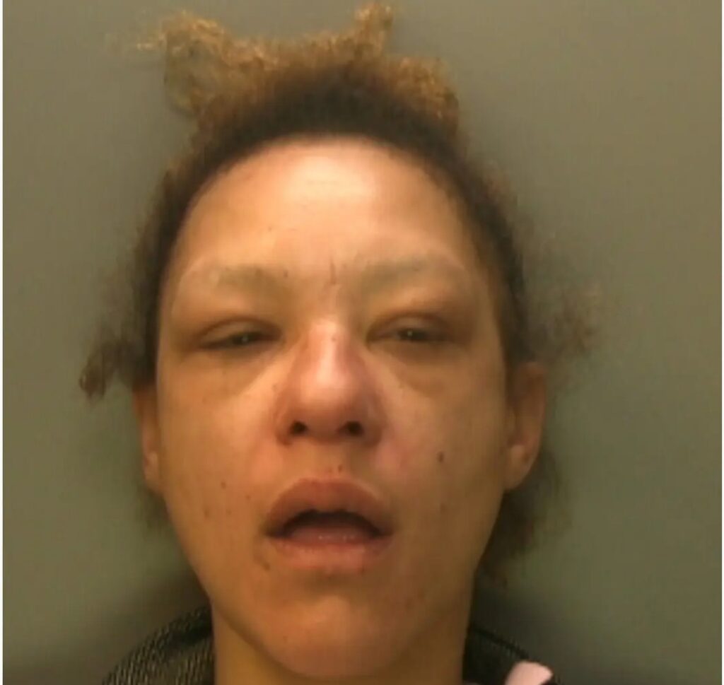 Brighton woman back behind bars after public appeal by police – Brighton and Hove News